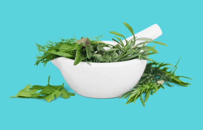 Live Your Best Life: 5 of the Most Helpful Herbs for Curbing Menopause Symptoms