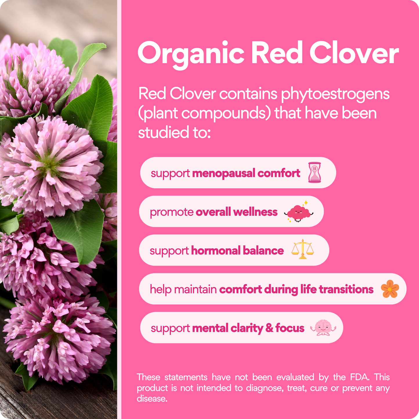 Menopause Support Tea